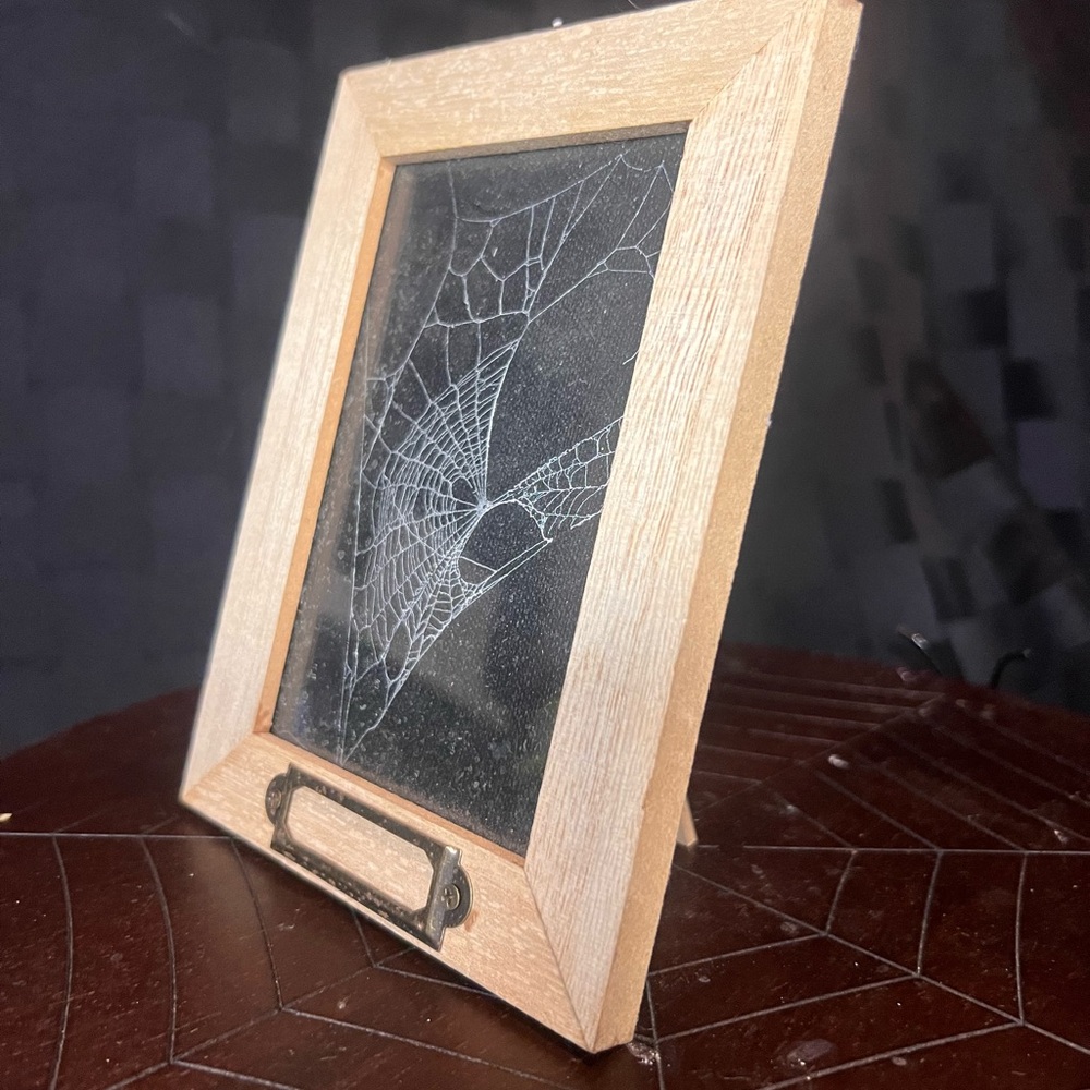 Framed spider web